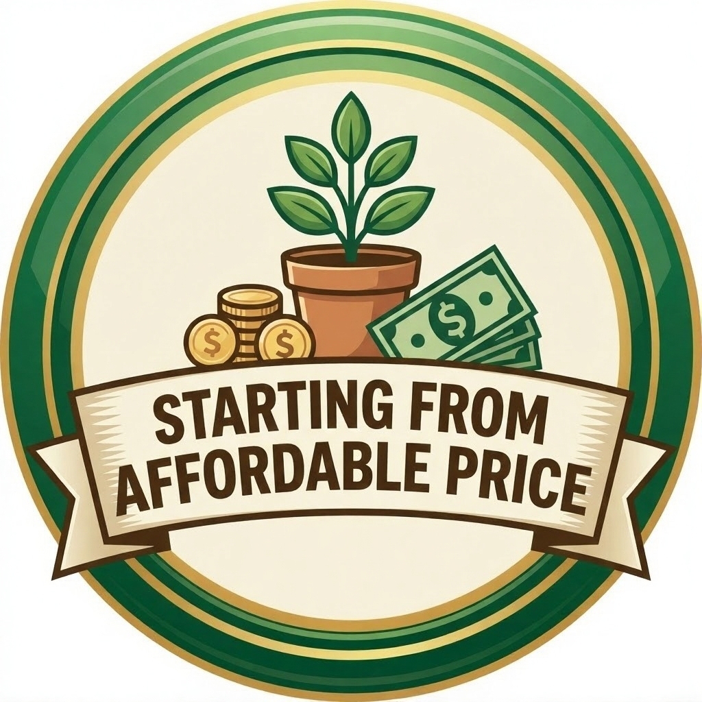 Starting From Affordable Price