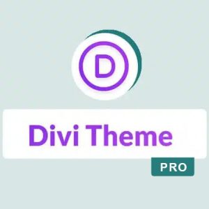 Divi Theme