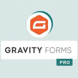 Gravity Forms